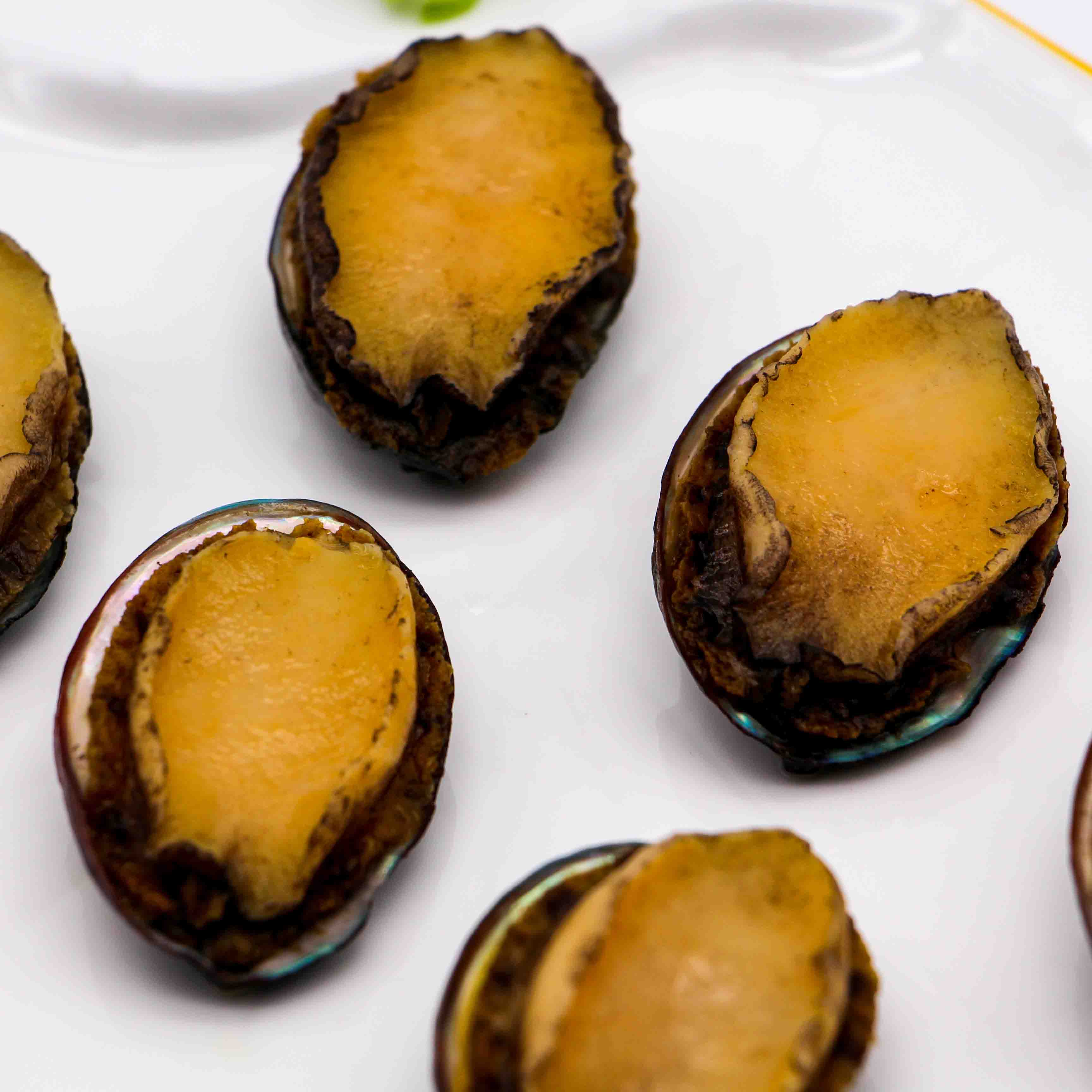 Frutos do mar abalone cozidos congelados, sem casca e removendo vísceras