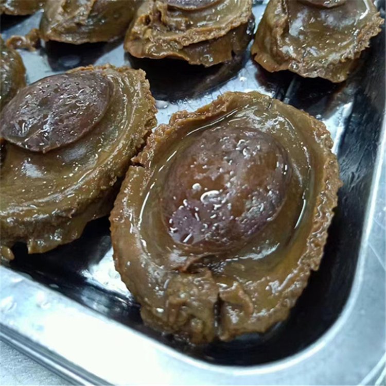 Embalagem congelada de abalone pronta para consumo com 8 cabeças
